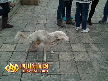 �ɶ�ۯ��һ����Ű������ �⵽�ڶ�����Ǵ��(ͼ)