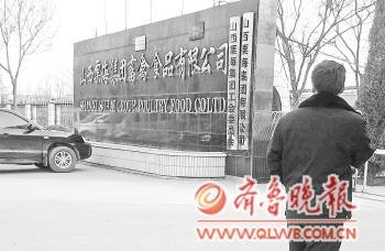 肉鸡产销各环节受重创 鸡苗一毛钱一只没人要
